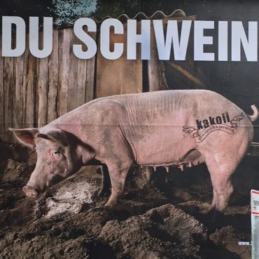 Du Schwein – Dadaistische Intervention im öffentlichen Raum